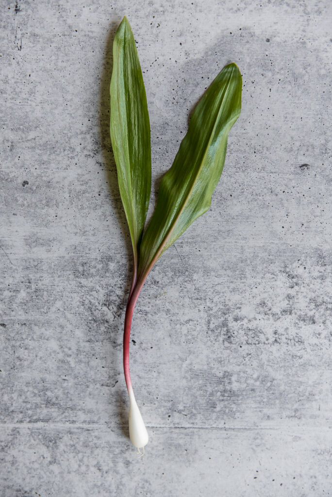 A single ramp shot by food photographer Rebecca Hales