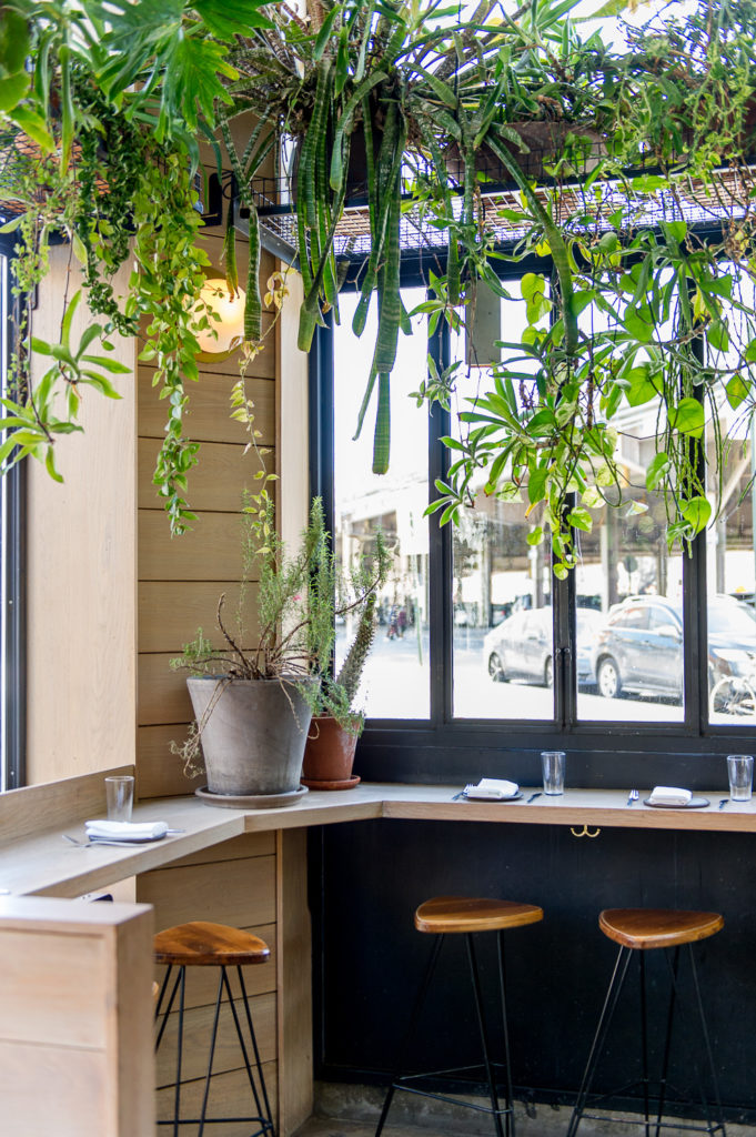 Interior Bar Counter Seating Llama Inn Brooklyn New York