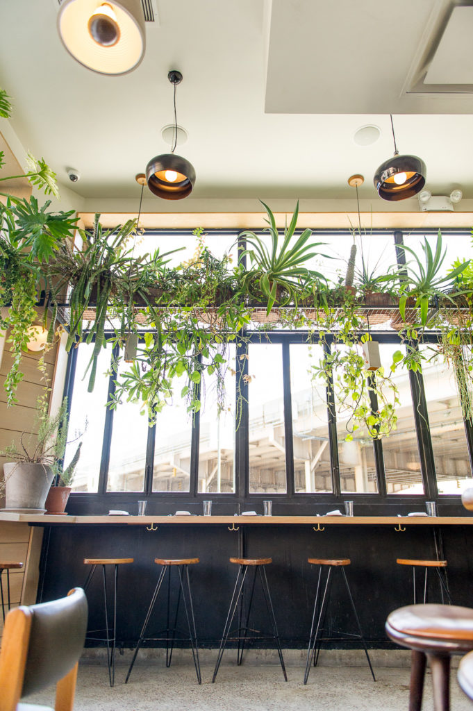 Interior Bar Counter Seating Llama Inn Brooklyn New York